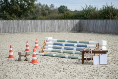 Training, Kurse & Ausbildung